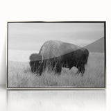 Framed wall art collection showcasing a modern abstract design with silver accents, displayed in a sleek acrylic frame against a neutral background, perfect for contemporary decor.