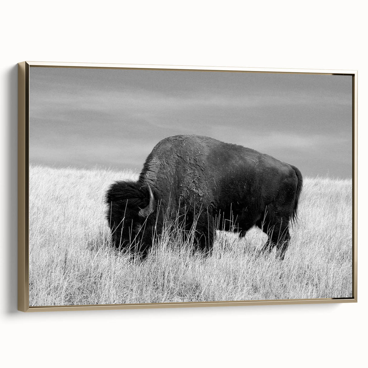 Framed wall art collection featuring a modern gold-accented canvas design, showcasing vibrant colors and abstract patterns, ideal for contemporary home decor.