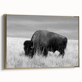 Framed wall art collection featuring a modern gold-accented canvas design, showcasing vibrant colors and abstract patterns, ideal for contemporary home decor.