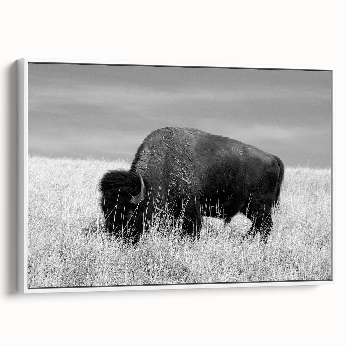 Framed canvas wall art collection featuring a modern abstract design with vibrant colors, displayed against a white background, showcasing its side profile and elegant framing.