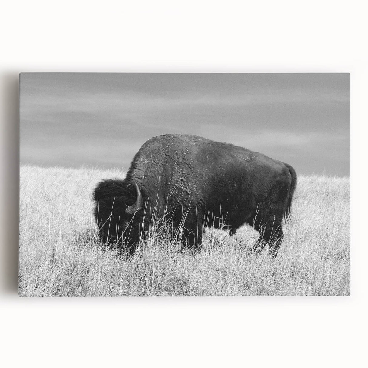 Stretched canvas artwork showcasing a vibrant abstract design with bold colors, ideal for modern home decor. Perfect for enhancing living spaces with artistic flair.