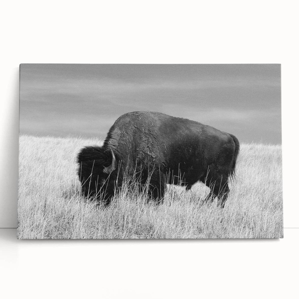 Stretched canvas wall art collection featuring vibrant abstract designs in bold colors, elegantly leaning against a white wall, enhancing modern home decor.