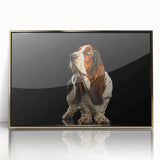 Framed wall art featuring a Basset Hound design in gold-accented acrylic, showcasing the dog’s unique features and playful expression, ideal for pet lovers' decor.