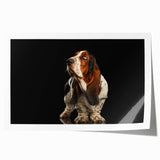 Basset hound wall art print showcasing a playful design with vibrant colors and intricate details, perfect for dog lovers and home decor enthusiasts.
