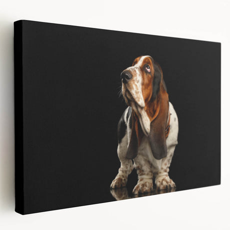 Basset Hound wall art design printed on stretched canvas, showcasing a side view of the dog with rich colors and intricate details, perfect for pet lovers' decor.