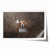 Basset Hound wall art print showcasing a charming illustration of a playful Basset Hound with a colorful background, perfect for dog lovers and home decor.