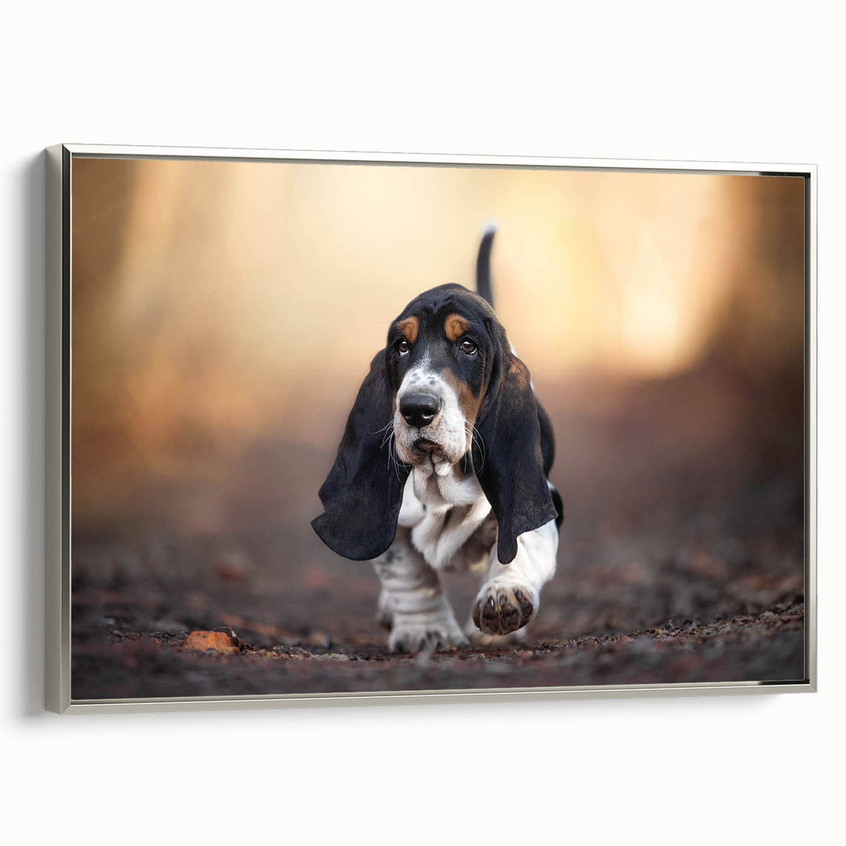 Framed canvas wall art showcasing a stylish Basset Hound design, featuring a silver frame and vibrant colors, perfect for dog lovers' home decor.