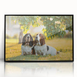 Framed wall art collection featuring a stylish Basset Hound design in black acrylic, showcasing vibrant colors and modern aesthetics, perfect for dog lovers.