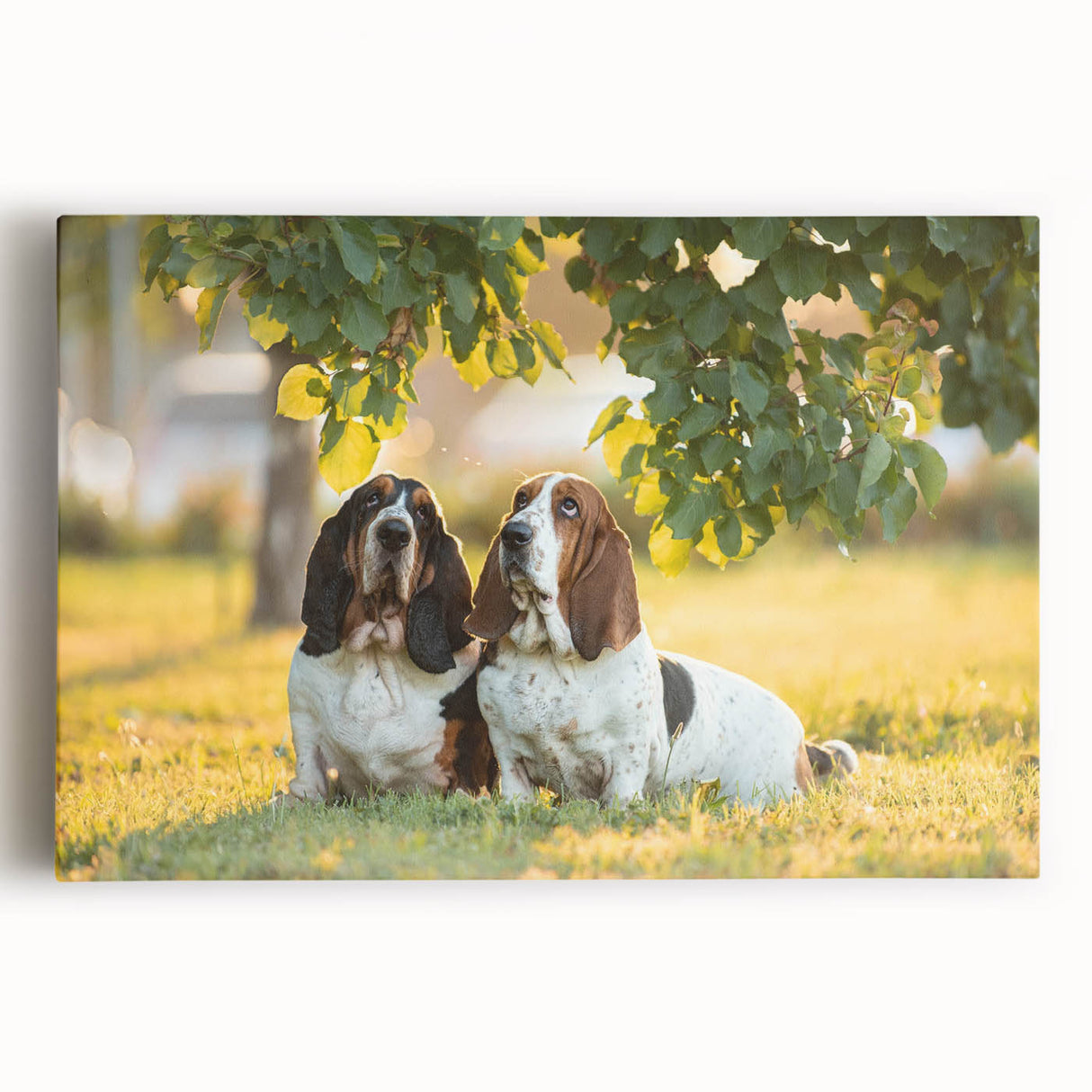 Basset Hound wall art design on stretched canvas, showcasing a detailed front view of the playful dog, ideal for pet lovers' home decor.