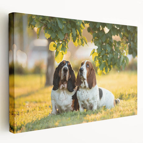 Basset Hound wall art collection showcasing a side view of a stretched canvas with vibrant colors, perfect for dog lovers' home decor. Ideal for living room or pet-themed spaces.
