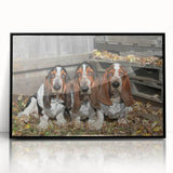 Framed wall art featuring a Basset Hound design in vibrant colors, showcasing the dog's distinct droopy ears and playful expression, perfect for pet lovers' home decor.