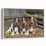 Basset Hound wall art collection displayed in a modern white frame, showcasing a side view of the dog with a playful expression, perfect for dog lovers' decor.