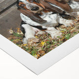 Basset Hound wall art design on rolled canvas, showcasing vibrant colors and playful patterns, ideal for dog lovers' home decor. Perfectly packaged for easy display.