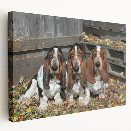 Basset Hound wall art design on stretched canvas showcasing a side view, featuring warm colors and intricate detailing, perfect for dog lovers’ decor.