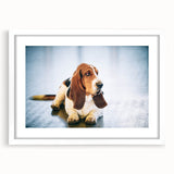 Basset Hound wall art collection framed in white matting, showcasing a playful design of a Basset Hound in a colorful, whimsical style, perfect for dog lovers.