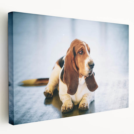 Basset Hound wall art design on stretched canvas showcasing a side view of the dog, featuring rich colors and detailed textures, perfect for pet lovers.
