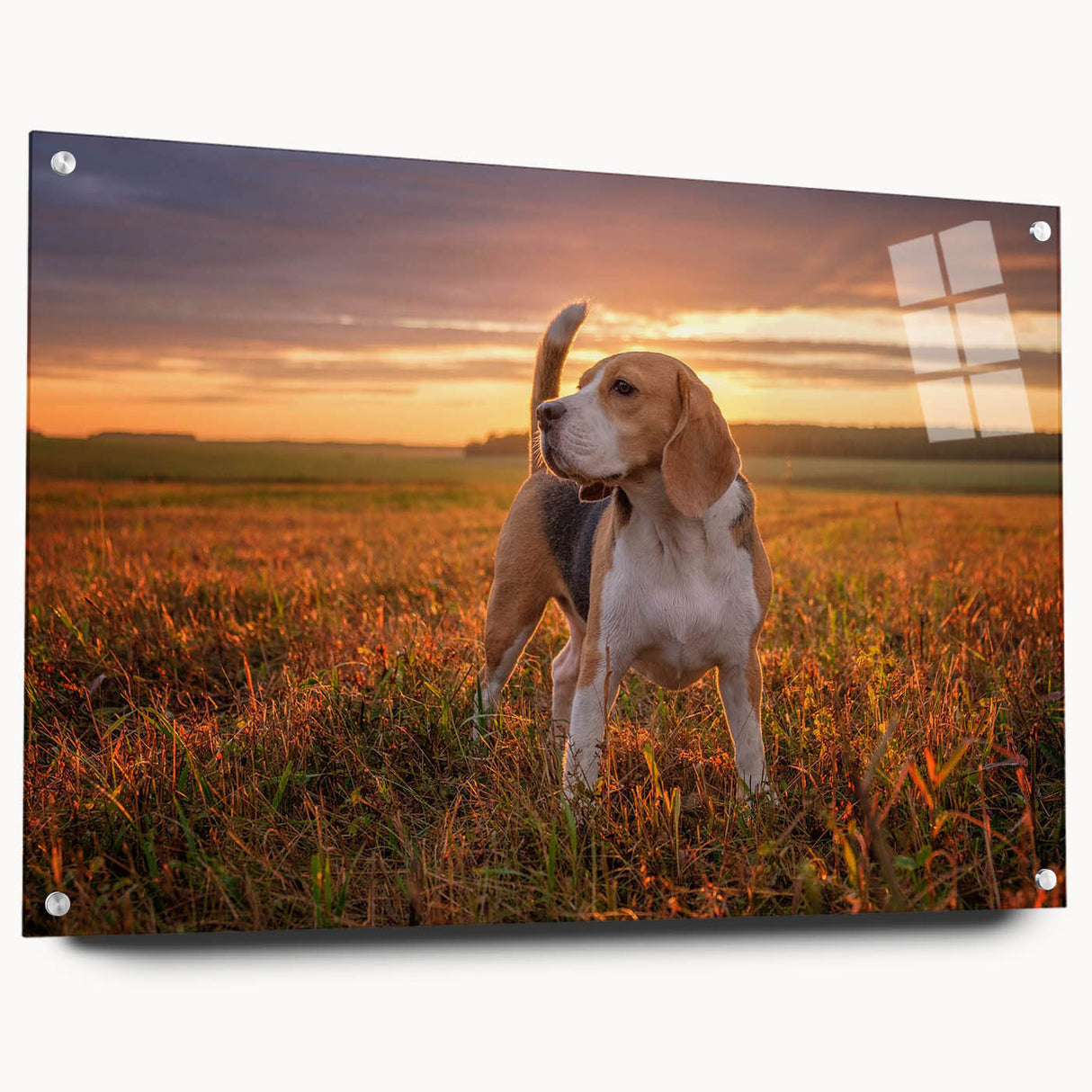 Side view of a stylish acrylic glass wall art featuring a Beagle design, showcasing vibrant colors and intricate details, ideal for dog lovers' decor.