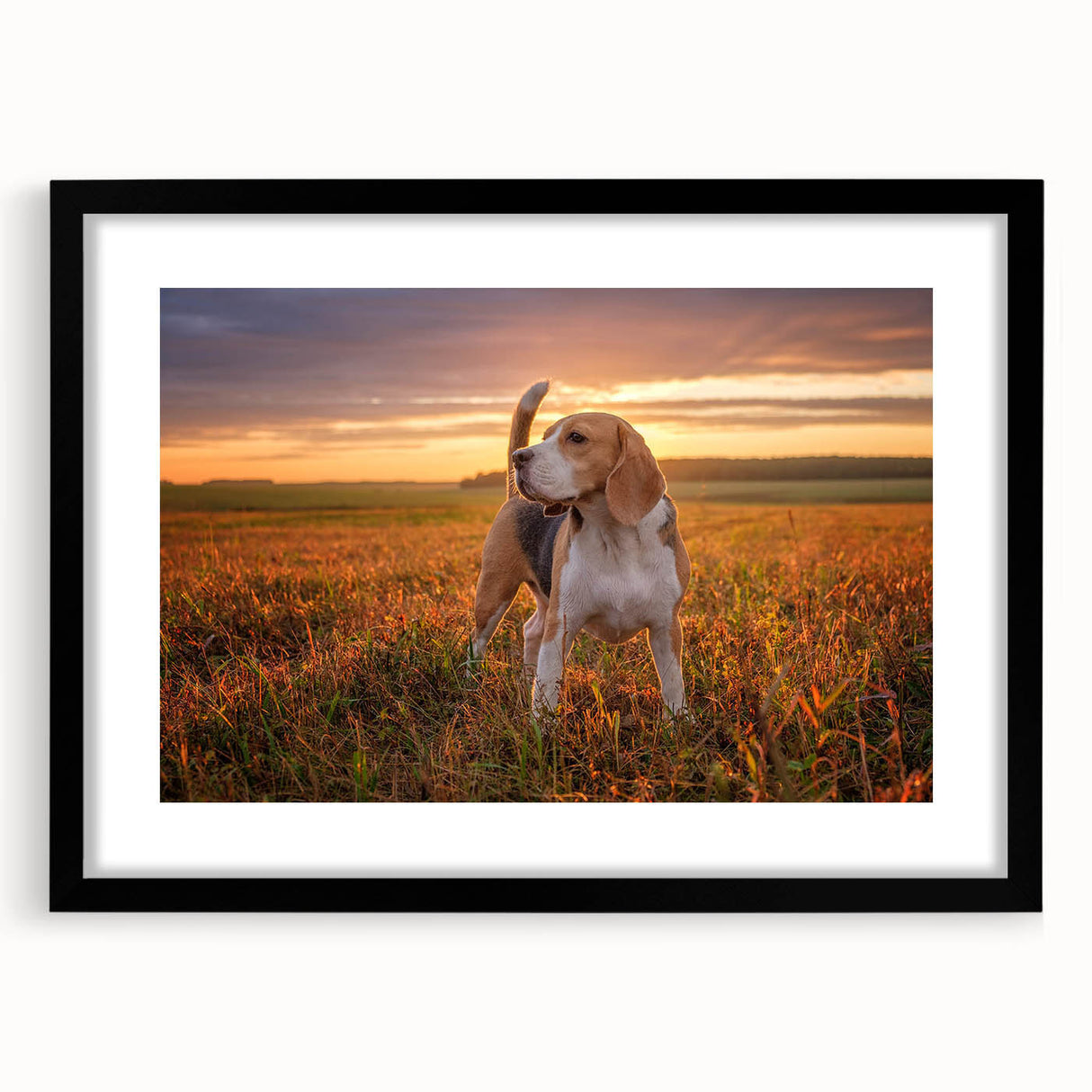 Framed wall art featuring a beagle design with a black mat, showcasing a playful beagle illustration in a contemporary style, perfect for dog lovers' home decor.
