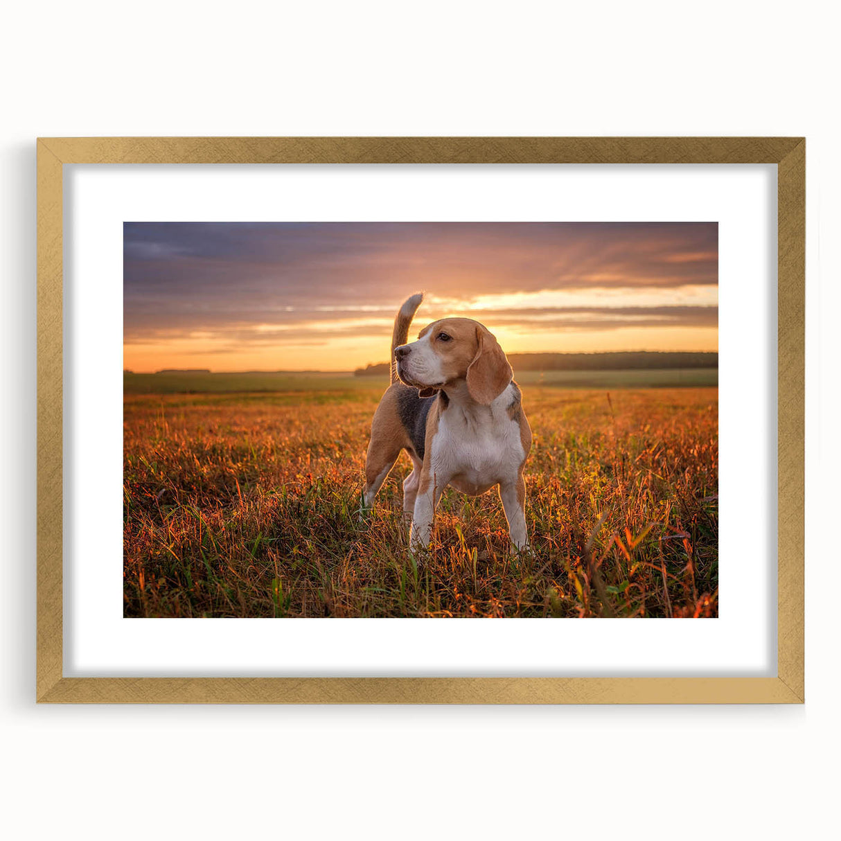 Beagle wall art framed in gold with a mat, showcasing a charming beagle design. Ideal for dog lovers, this decorative piece adds warmth to any room.