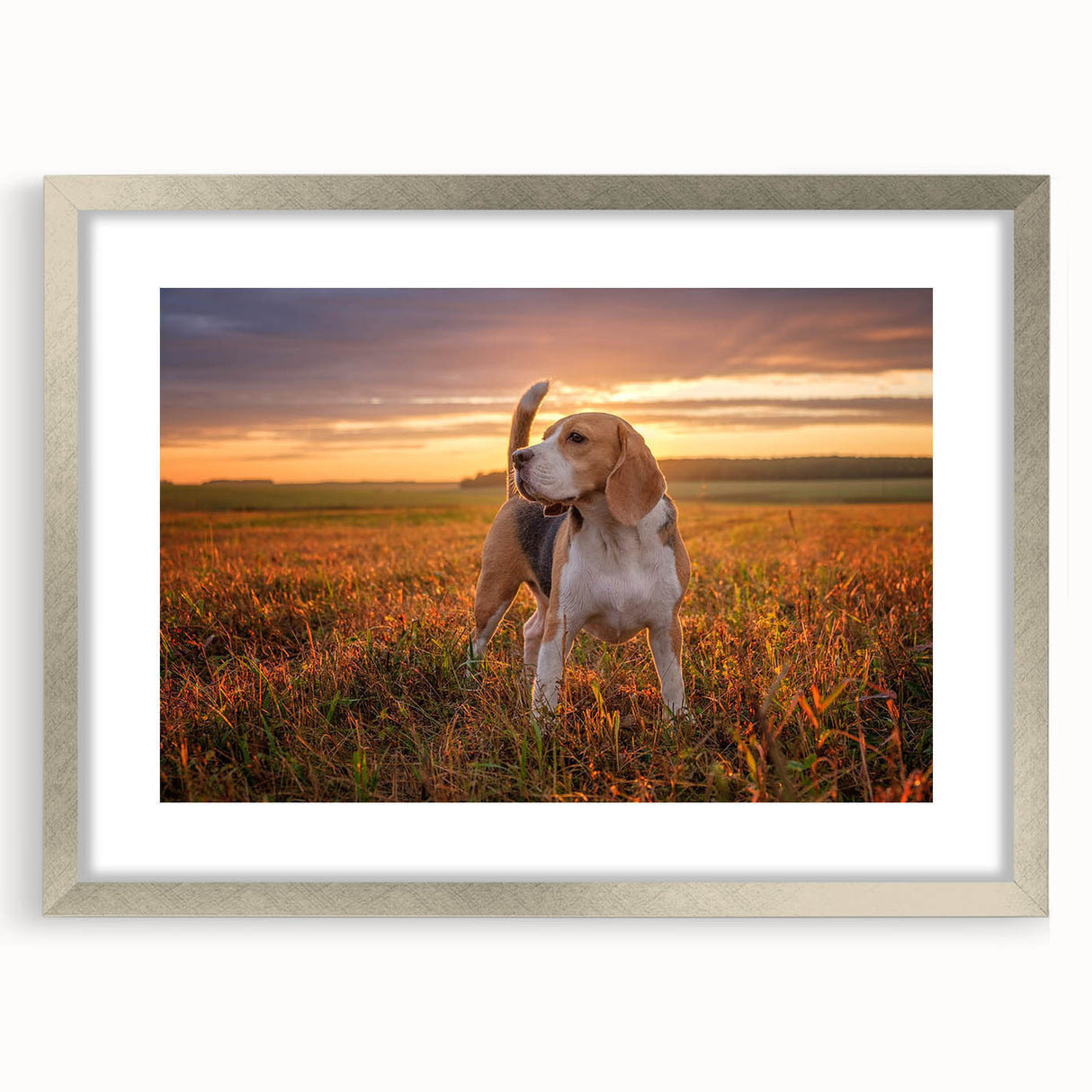 Beagle wall art framed in silver, showcasing a playful beagle design with a mat, perfect for dog lovers. Ideal for home or office decor, adding charm and warmth.