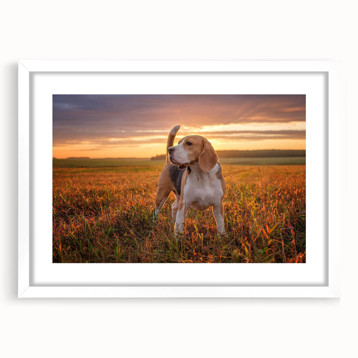 Beagle wall art design framed with a white mat, showcasing a playful beagle illustration in vibrant colors, perfect for dog lovers' home decor.