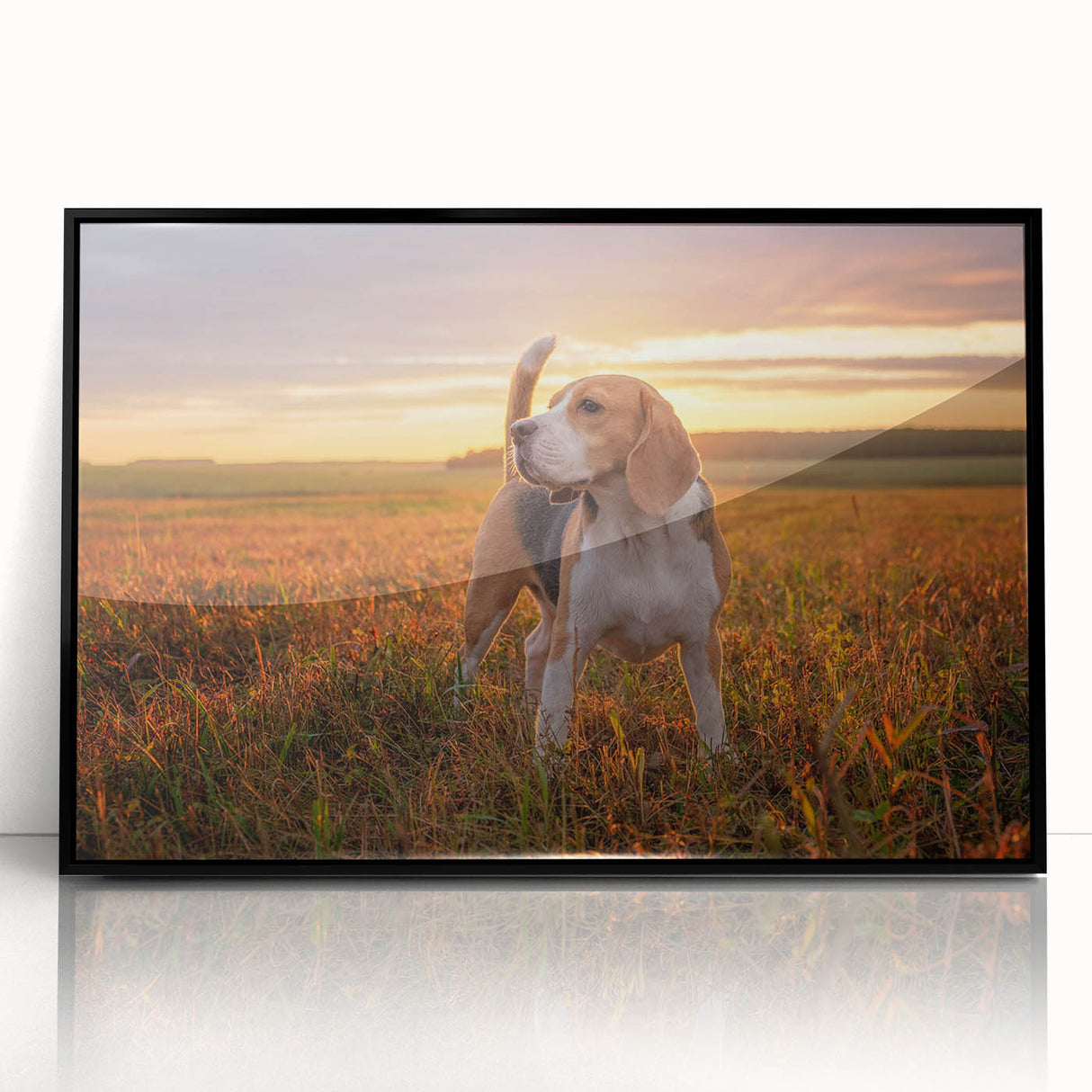 Framed wall art featuring a Beagle design in black acrylic, showcasing a striking front view. Ideal for dog lovers, this modern decor adds charm to any space.