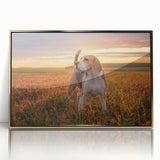 Framed wall art featuring a vibrant Beagle dog design, displayed in a sleek acrylic frame with a gold finish, perfect for pet lovers looking to enhance their home decor.