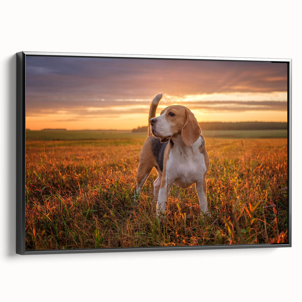 Framed canvas wall art featuring a stylish black and white beagle design, showcasing the dog's profile against a minimalist background, perfect for pet lovers.