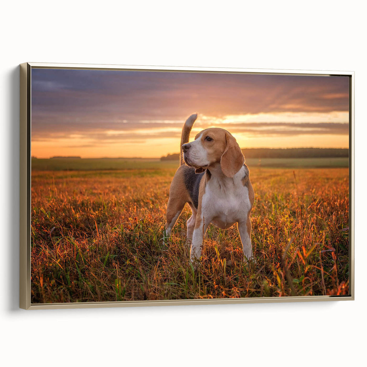 Framed wall art featuring a golden side profile of a Beagle dog, showcasing intricate details and vibrant coloration, perfect for dog lovers and home decor.