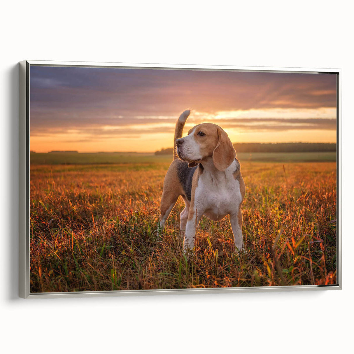 Framed wall art featuring a beagle design on canvas, showcasing a silver frame and vibrant colors, ideal for dog lovers' home decor.