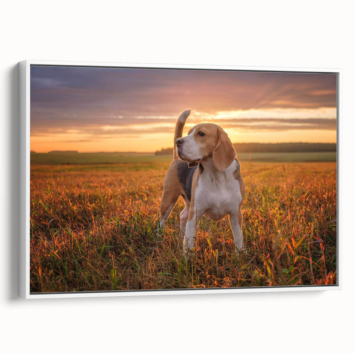 Framed canvas wall art showcasing a Beagle dog design on a white background, highlighting the dog’s playful expression and detailed fur texture, ideal for pet lovers.