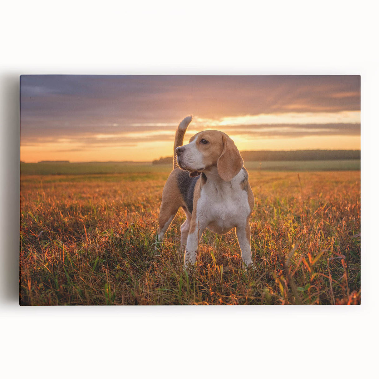 Stretched canvas wall art featuring a vibrant beagle design, showcasing the dog’s playful expression in bright colors against a minimalist background. Perfect for pet lovers.