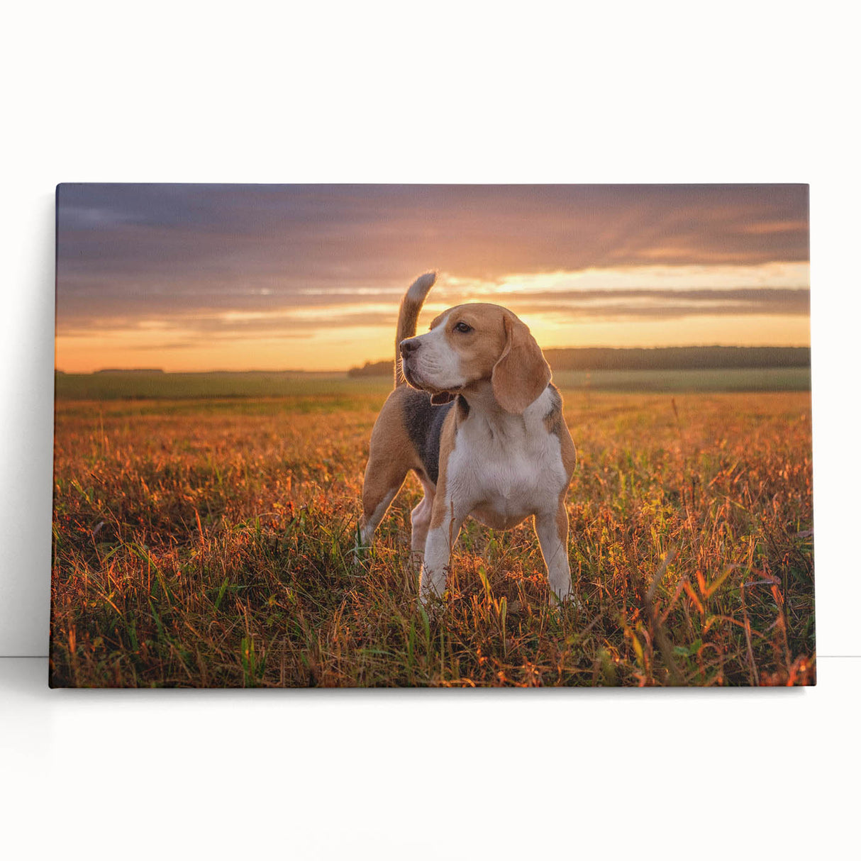 Beagle dog wall art design on stretched canvas, showcasing warm colors and playful expression, perfect for pet lovers and home decor enthusiasts.