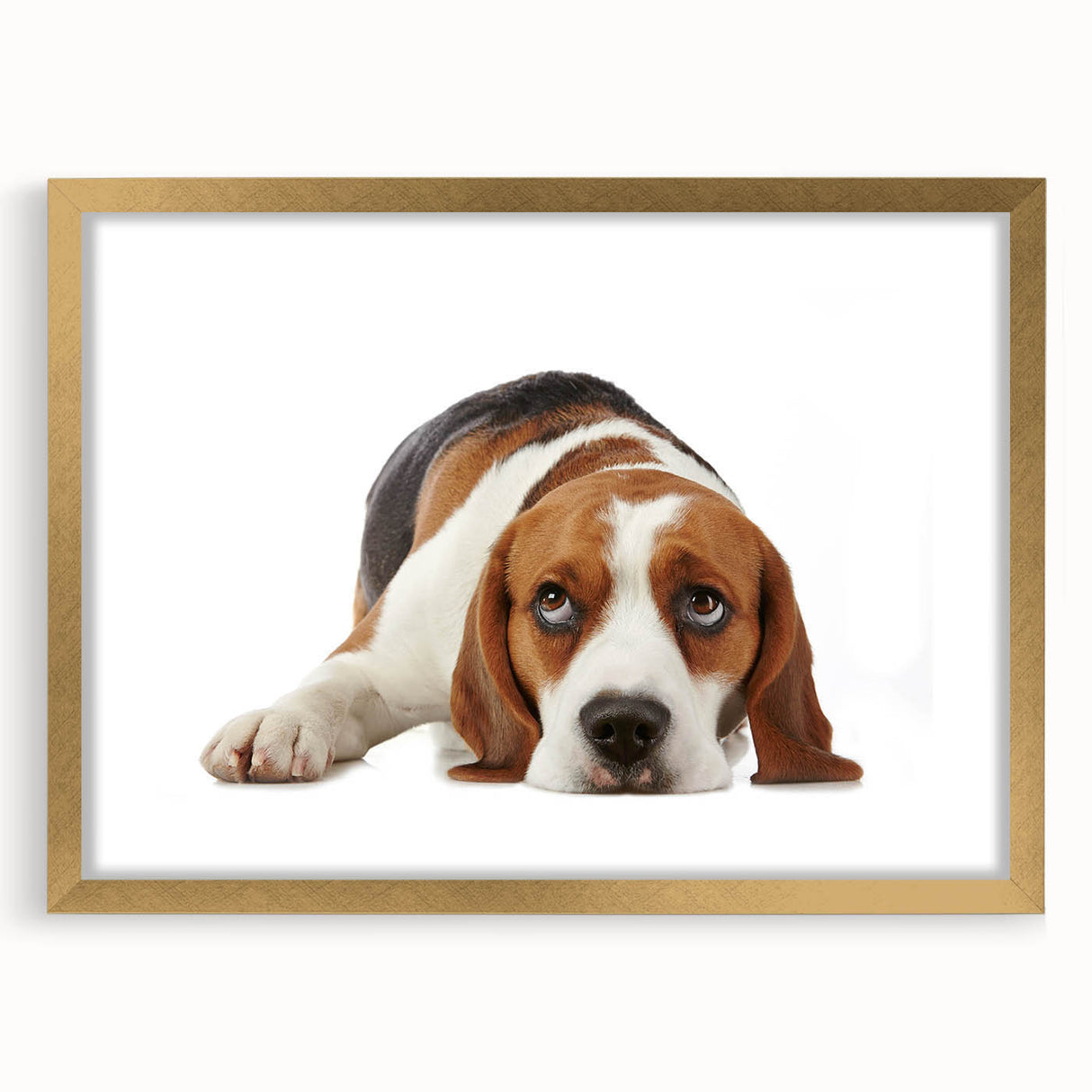 Beagle wall art framed with a gold mat, showcasing a cute beagle illustration against a white background, perfect for dog lovers' home decor.