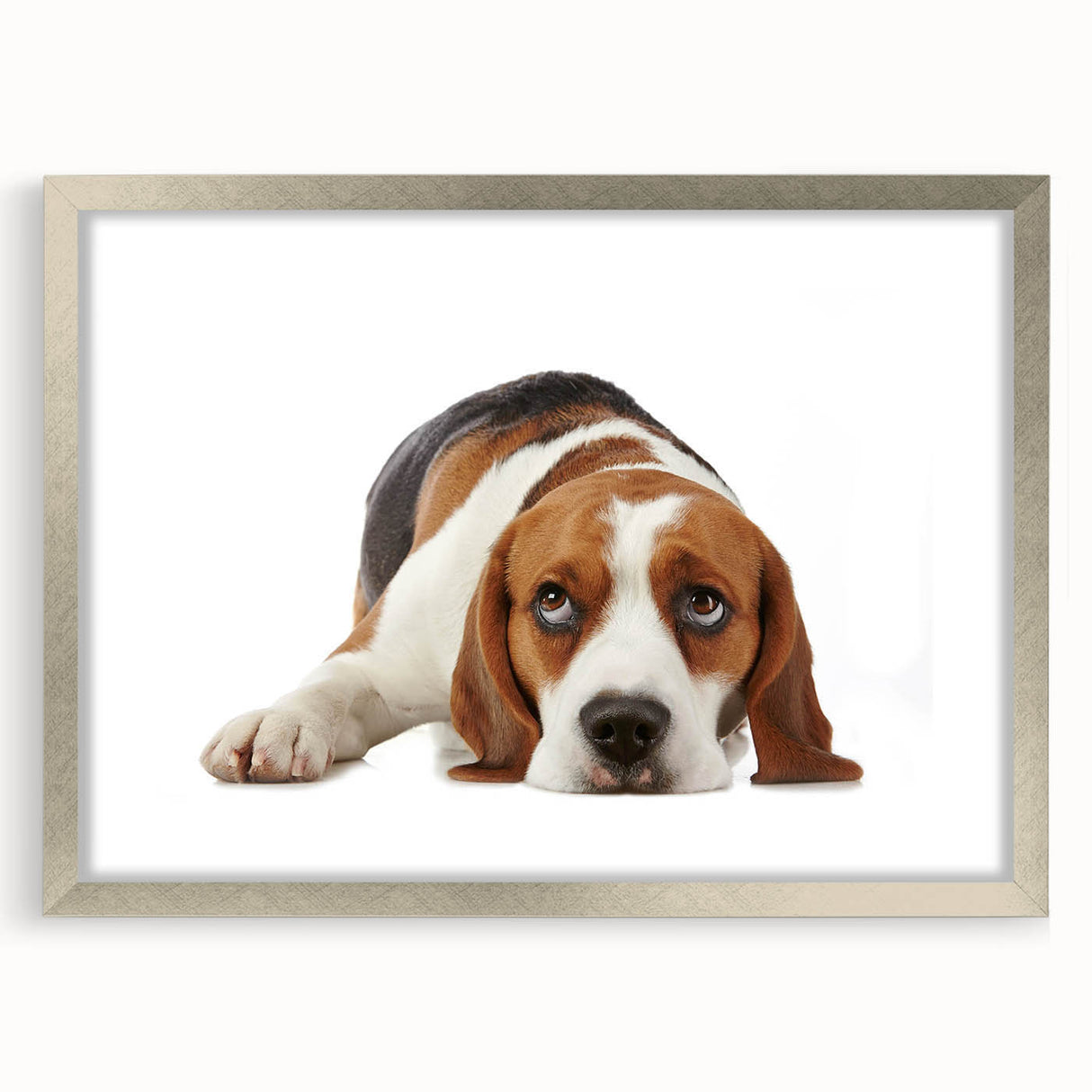 Beagle-themed wall art framed in silver, showcasing a playful beagle design with a mat, perfect for dog lovers’ home decor. Ideal for enhancing living spaces.