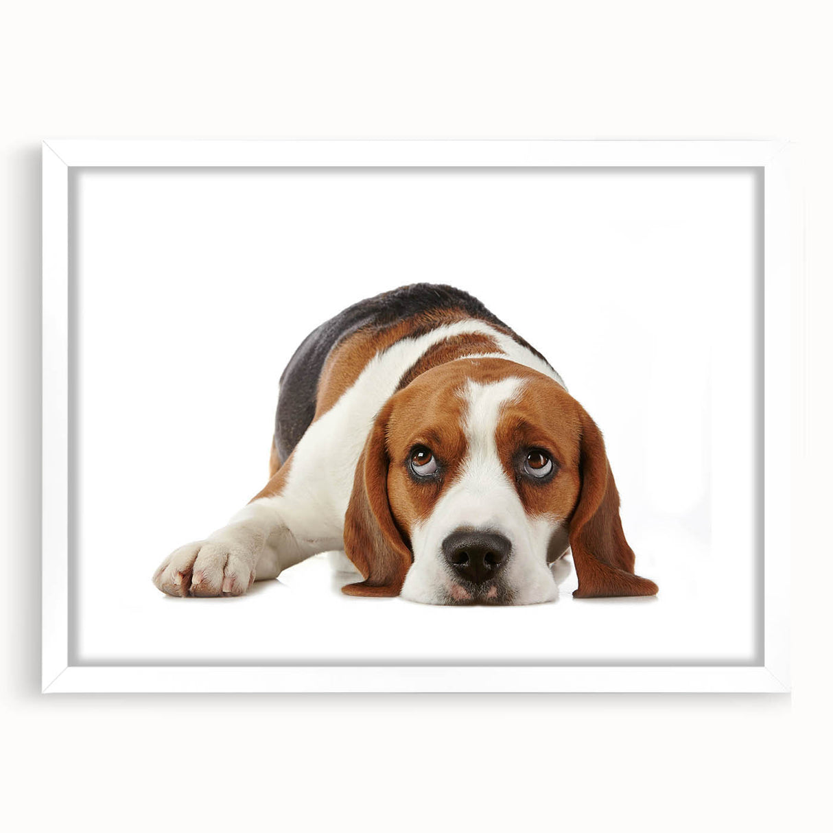 Beagle-themed wall art collection framed in white with a mat, showcasing a playful beagle design. Ideal for dog lovers, adding charm to any room decor.