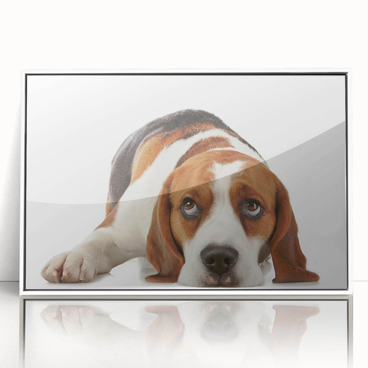 Framed wall art featuring a Beagle design in vibrant colors, displayed in a sleek white frame, perfect for dog lovers' home decor. Ideal for adding charm to any space.