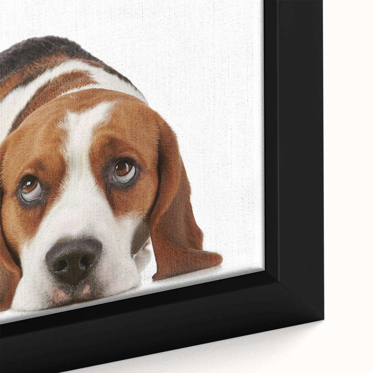 Close-up of a framed canvas wall art featuring a beautifully detailed Beagle dog design, showcasing vibrant colors and intricate textures, ideal for dog lovers.