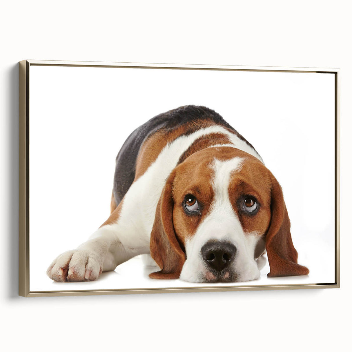 Framed canvas wall art featuring a stylish beagle design, showcasing rich colors and detailed textures, ideal for pet lovers’ home decor. The artwork is elegantly presented with a gold frame, adding a touch of sophistication to any room.