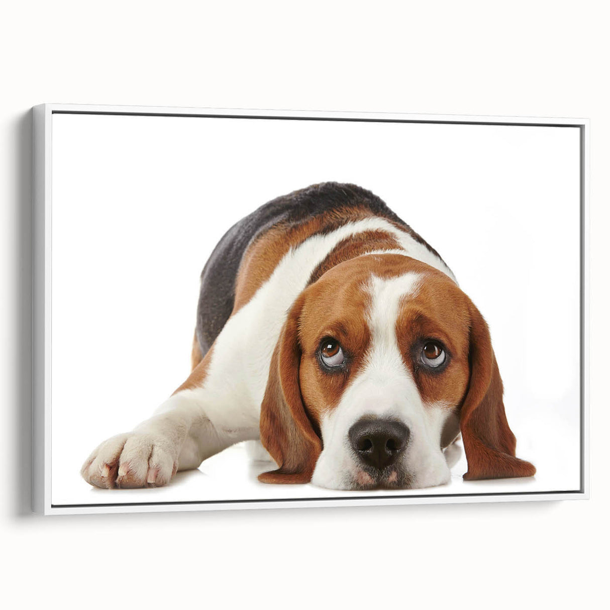 Framed canvas wall art featuring a beagle design in a modern style, showcasing a side view with a white background, perfect for dog lovers and home decor.