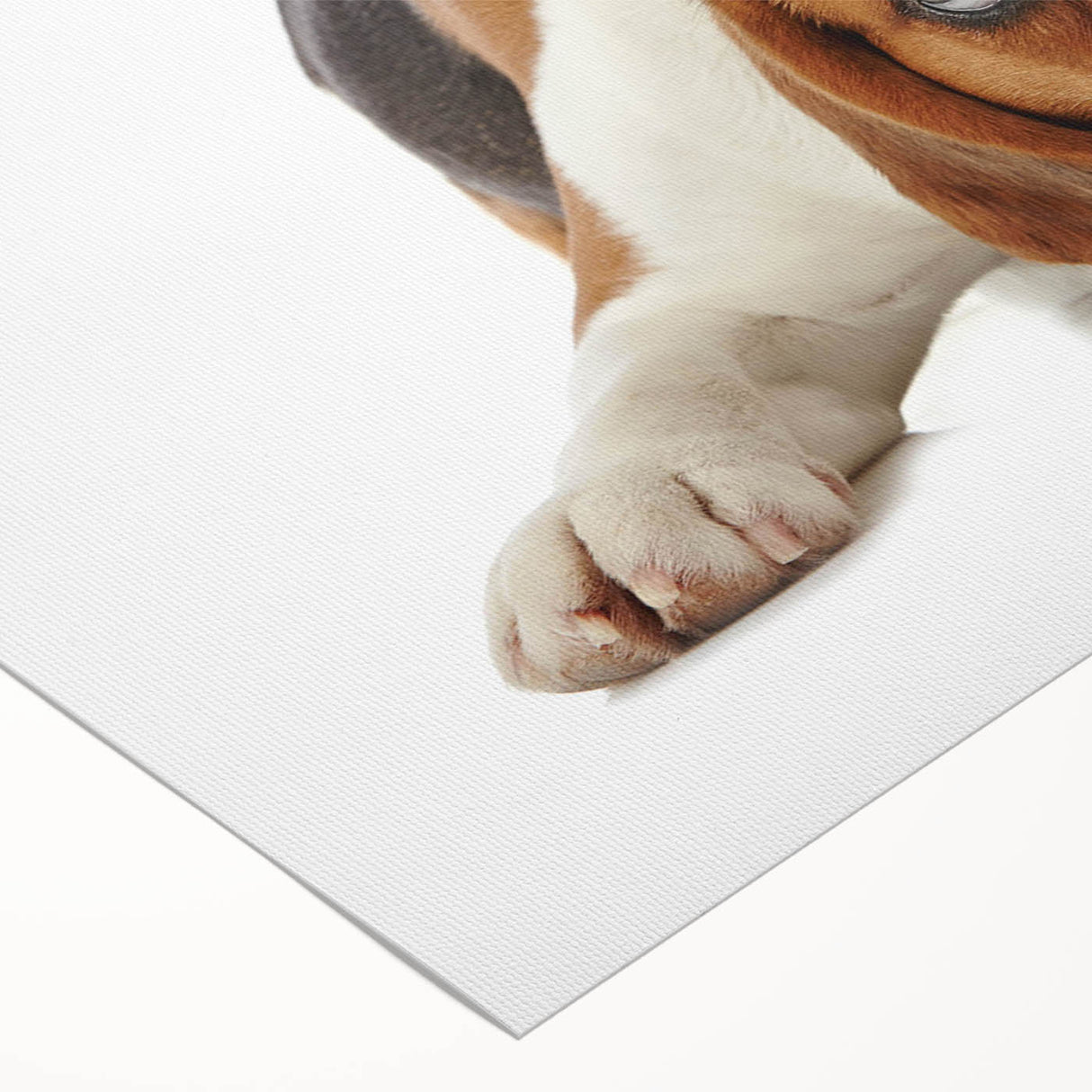 Beagle wall art design on rolled canvas, showcasing a playful beagle with vibrant colors and intricate detailing, perfect for pet lovers' home decor.