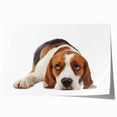 Beagle dog wall art print featuring a playful and colorful illustration of a beagle in a whimsical style, perfect for pet lovers' home decor.