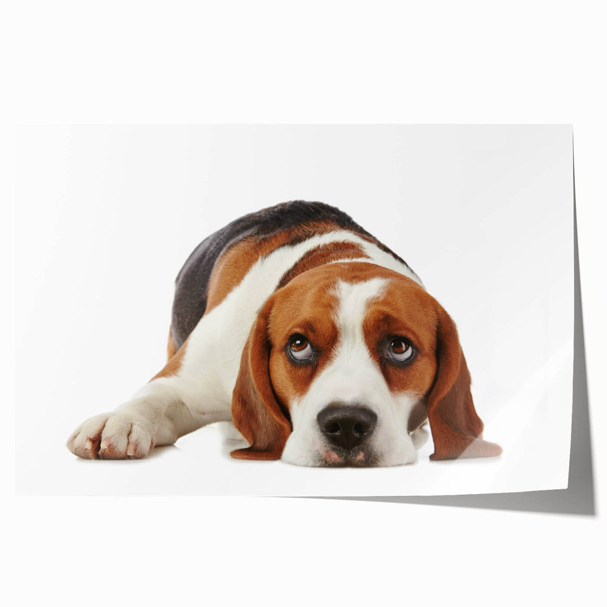 Beagle dog wall art print featuring a playful and colorful illustration of a beagle in a whimsical style, perfect for pet lovers' home decor.