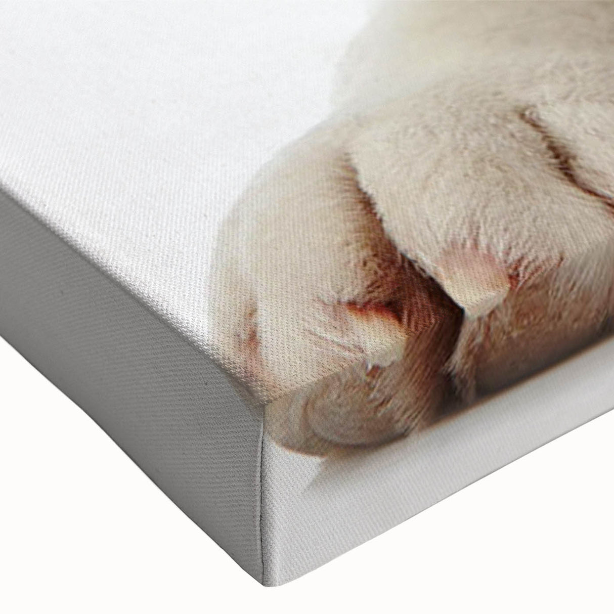 Close-up of a stretched canvas featuring a vibrant Beagle dog design, showcasing intricate details and rich colors, perfect for pet lovers' wall decor.