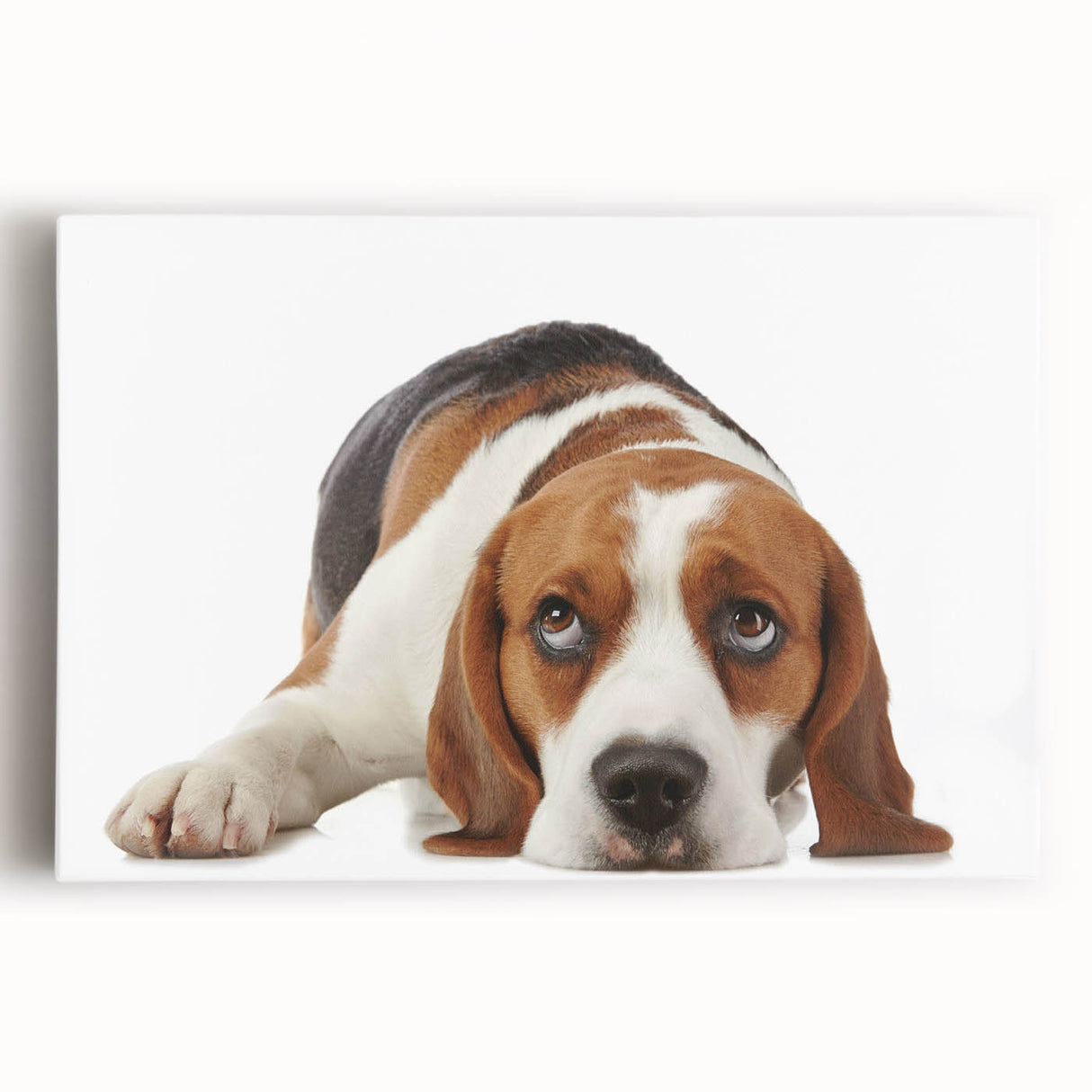 Beagle dog wall art design featuring a vibrant, colorful illustration on stretched canvas, showcasing the playful nature of beagles. Perfect for pet lovers.