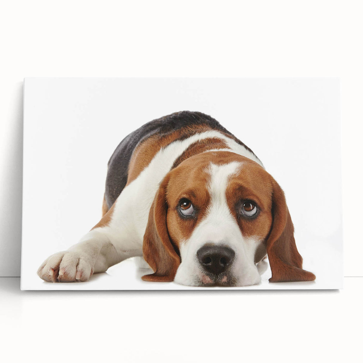 Beagle wall art design on stretched canvas, showcasing a playful beagle illustration with vibrant colors, perfect for dog lovers' home decor.