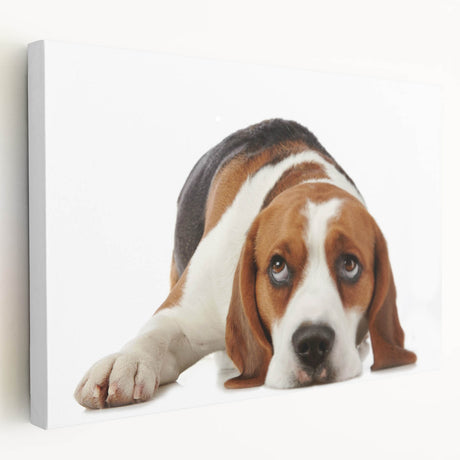 Beagle dog wall art design on stretched canvas, showcasing a playful beagle in vibrant colors against a light background, perfect for dog lovers' decor.