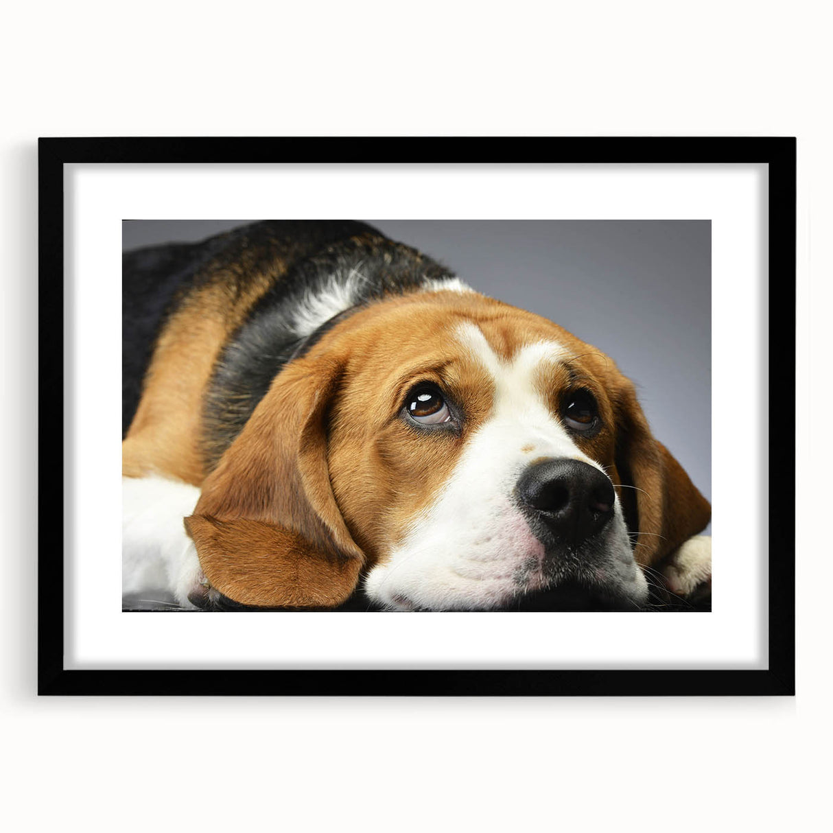 Framed wall art collection featuring a beagle design, showcasing a black frame and mat, ideal for dog lovers and home decor. Perfect addition to any room.