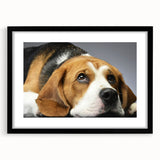 Framed wall art collection featuring a beagle design, showcasing a black frame and mat, ideal for dog lovers and home decor. Perfect addition to any room.