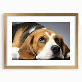 Beagle-themed wall art collection in a gold frame with matting, showcasing a playful design and elegant presentation, perfect for dog lovers' home decor.